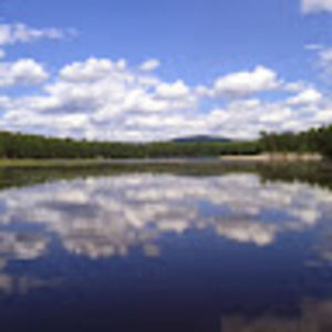 Meet your Posher, Lealynn